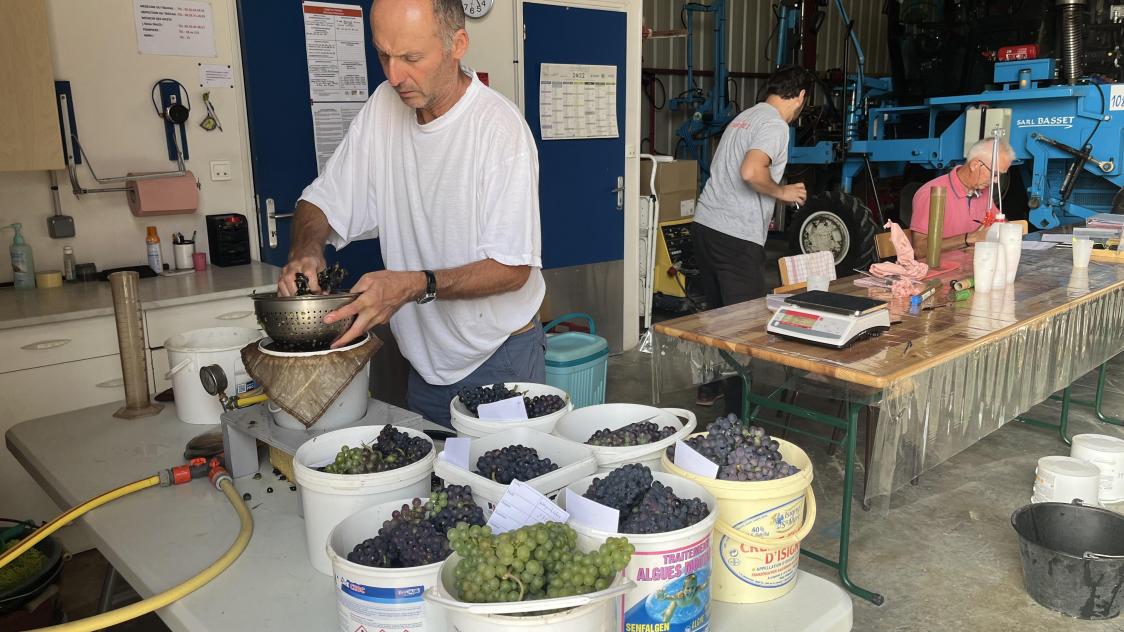 Réseau Matu vendanges 2023